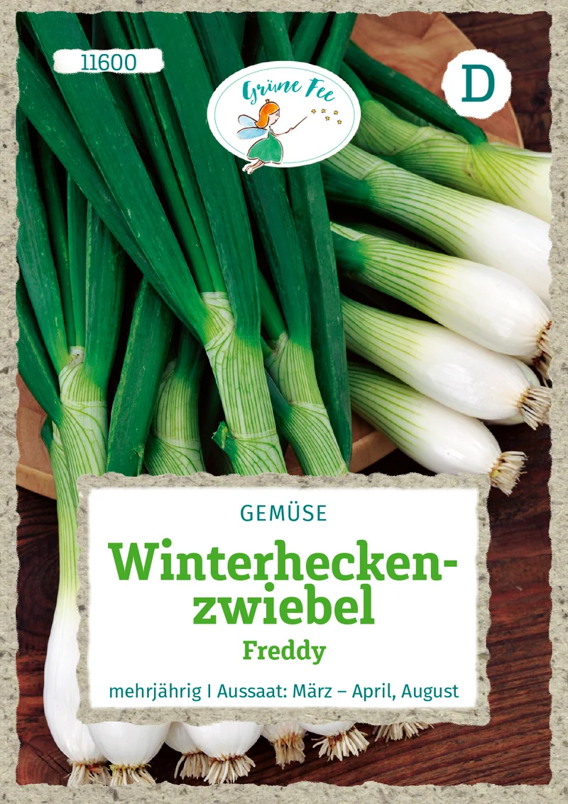 Winterheckenzwiebel Freddy Saatgut