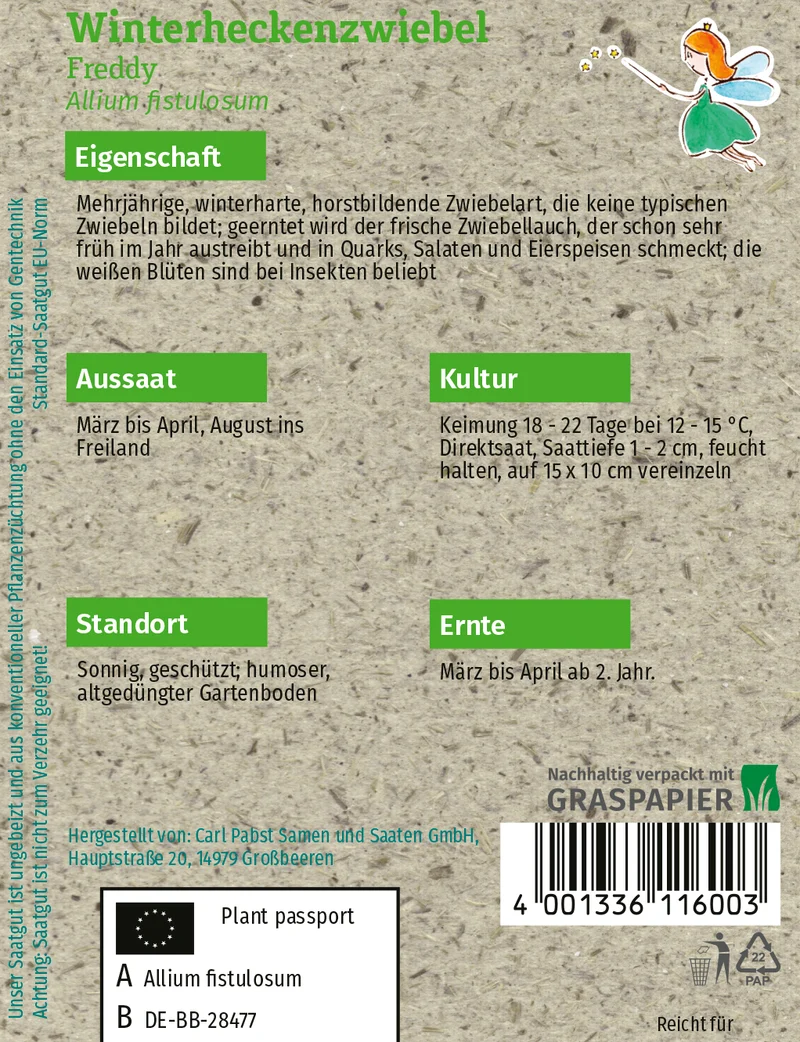Winterheckenzwiebel Freddy Saatgut