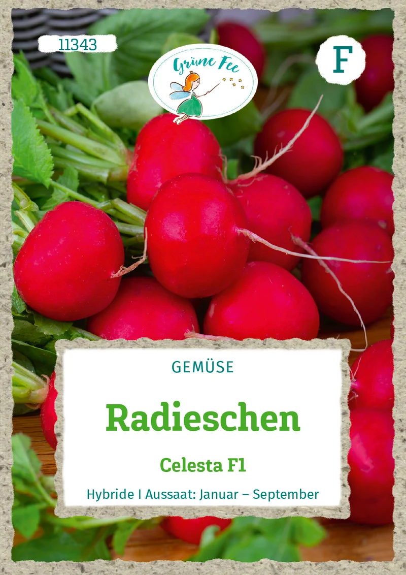 Radieschen Celesta F1 Saatgut