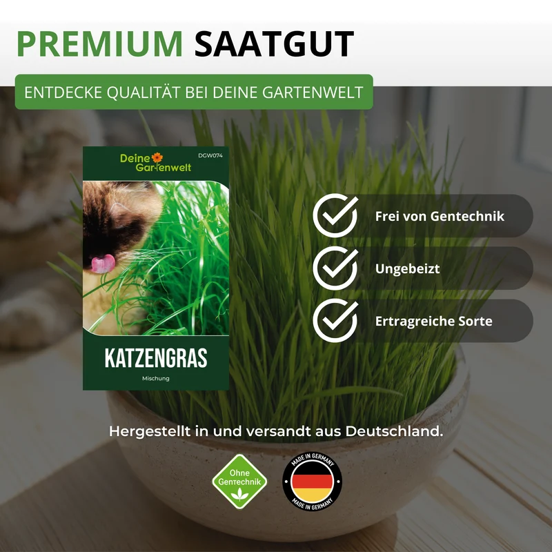 Katzengras Mischung Saatgut