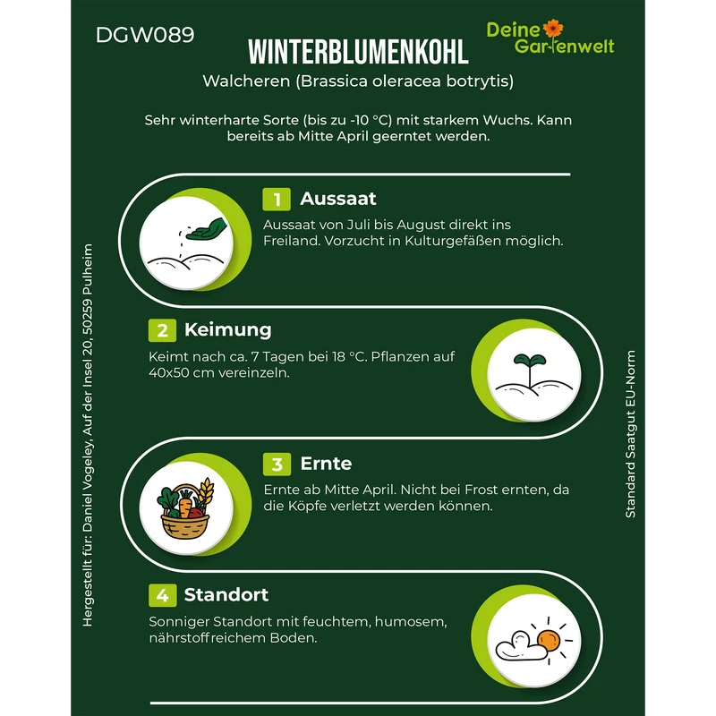 Winterblumenkohl Walcheren Saatgut