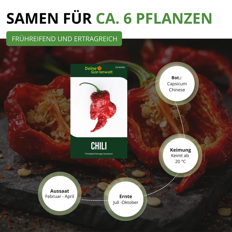 Chili Trinidad Moruga Scorpion Saatgut