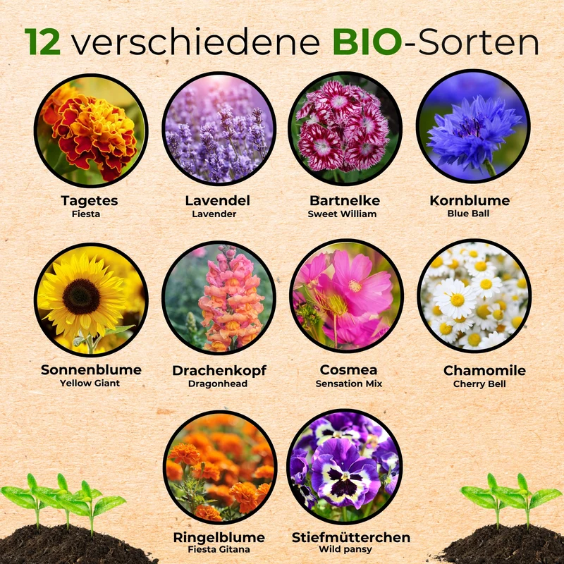 Bio Essbare Blüten Blumensamen Set mit 10 Sorten