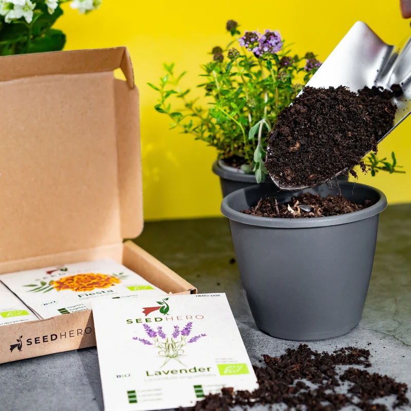 Bio Essbare Blüten Blumensamen Set mit 10 Sorten