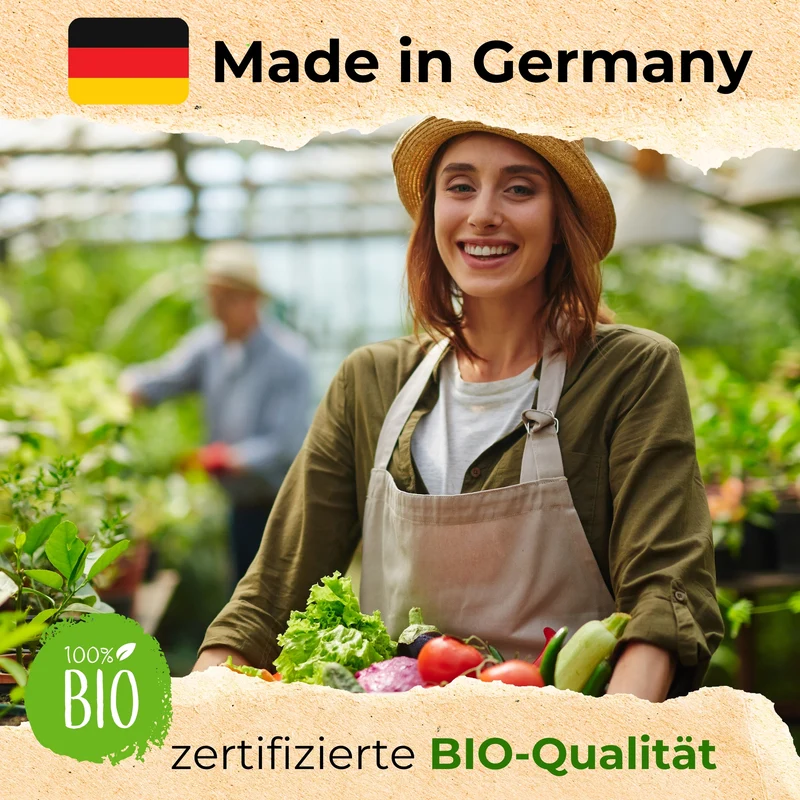 Bio Gemüsesamen Set mit 12 Sorten