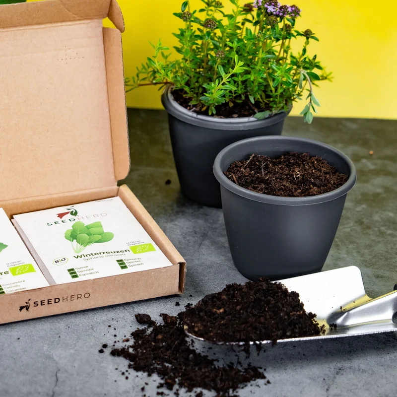 Bio Gemüsesamen Set mit 12 Sorten