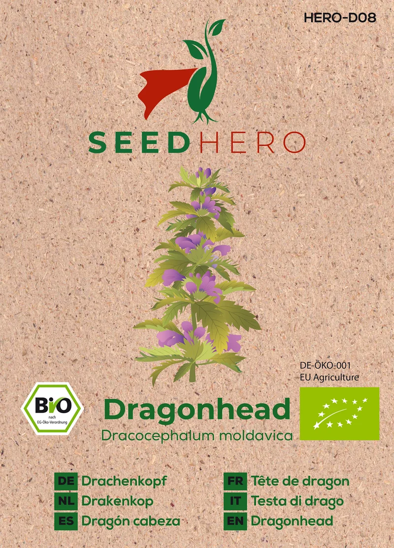 Bio Drachenkopf Saatgut