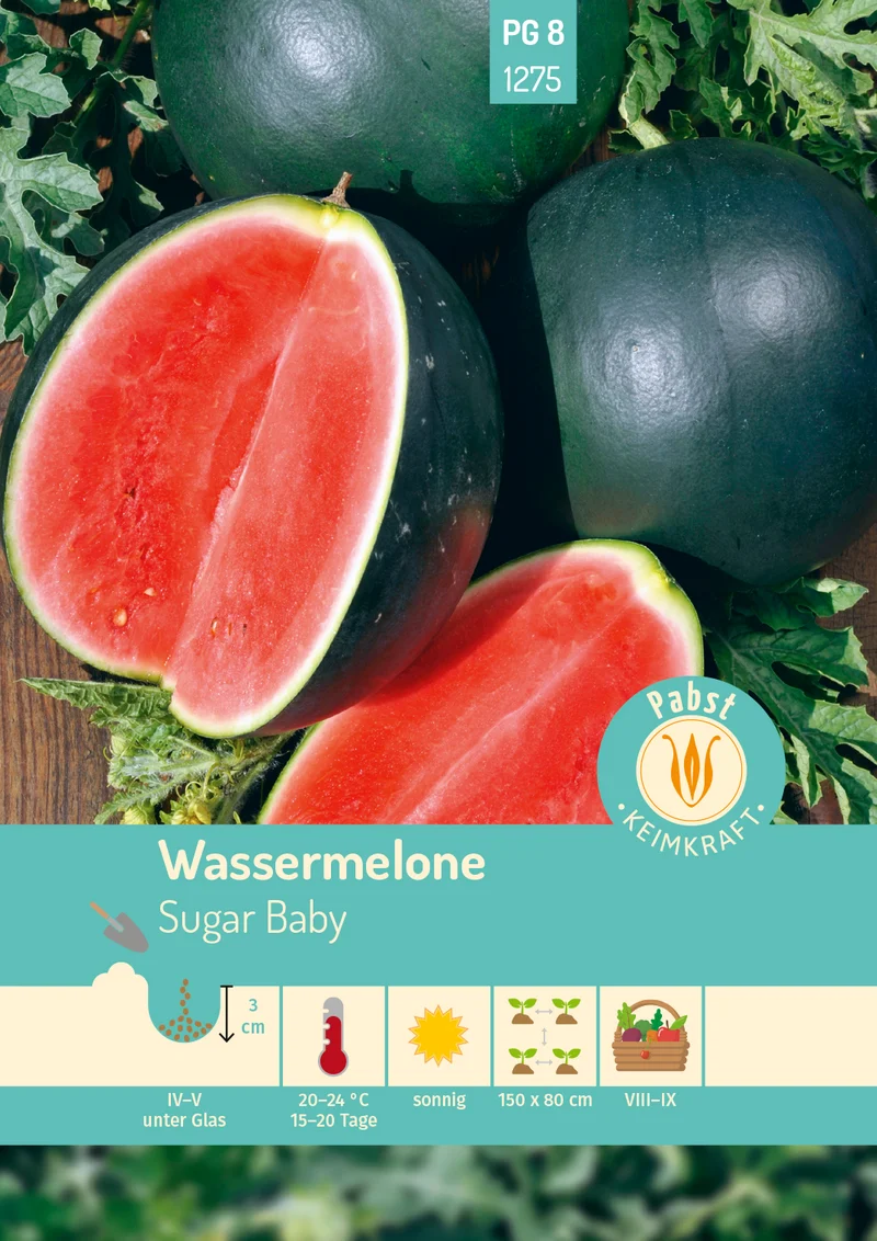 Wassermelone Sugar Baby Saatgut