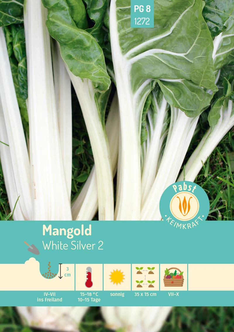 Mangold White Silver 2 Saatgut