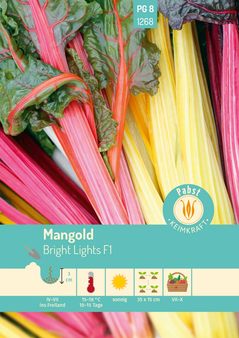 Mangold Bright Lights Saatgut