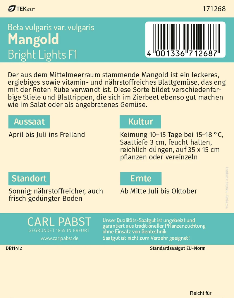 Mangold Bright Lights Saatgut