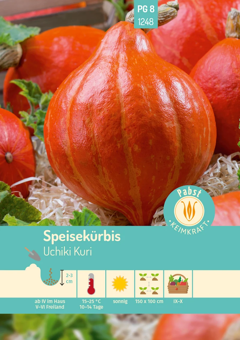 Speisekürbis Uchiki Kuri Saatgut