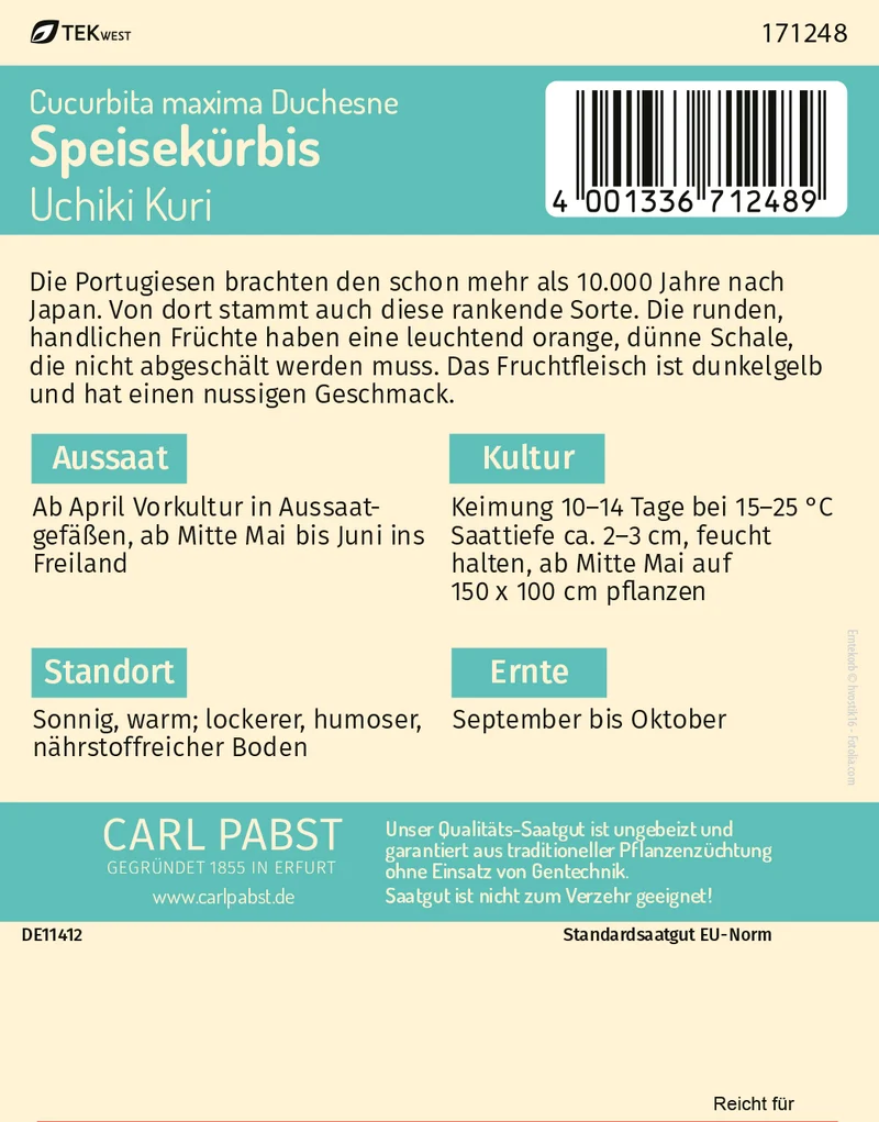 Speisekürbis Uchiki Kuri Saatgut