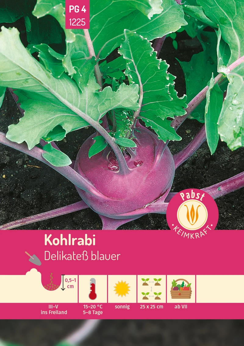 Kohlrabi Delikateß blauer Saatgut