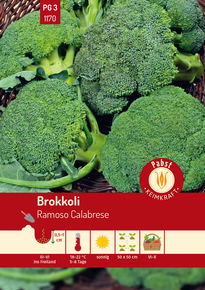 Brokkoli Ramoso Calabrese Saatgut