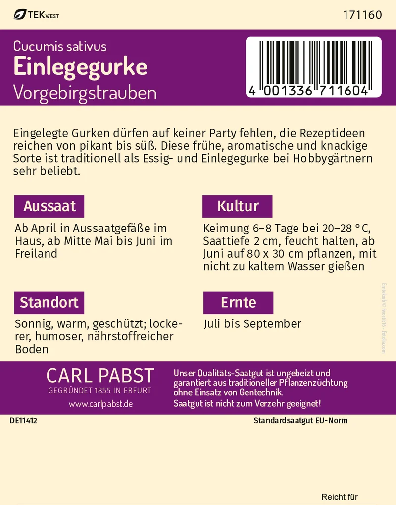 Einlegegurke Vorgebirgstrauben Saatgut