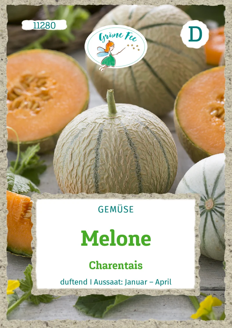 Melone Charentais Saatgut
