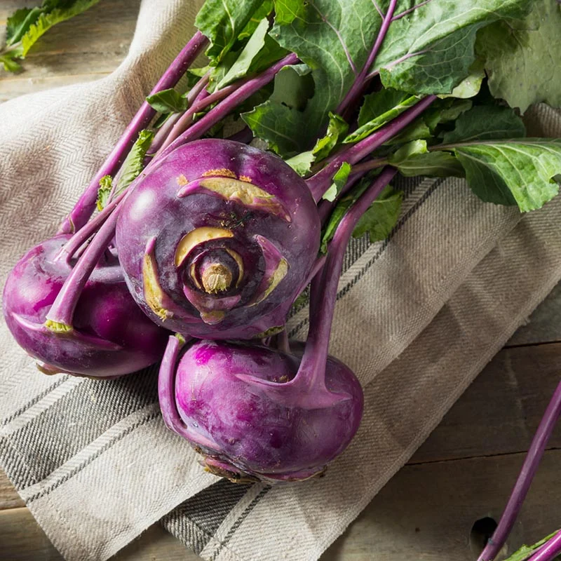 Kohlrabi - Delikatess Blauw