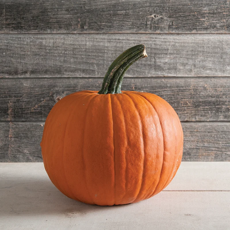 Halloween-Kürbis - Racer F1